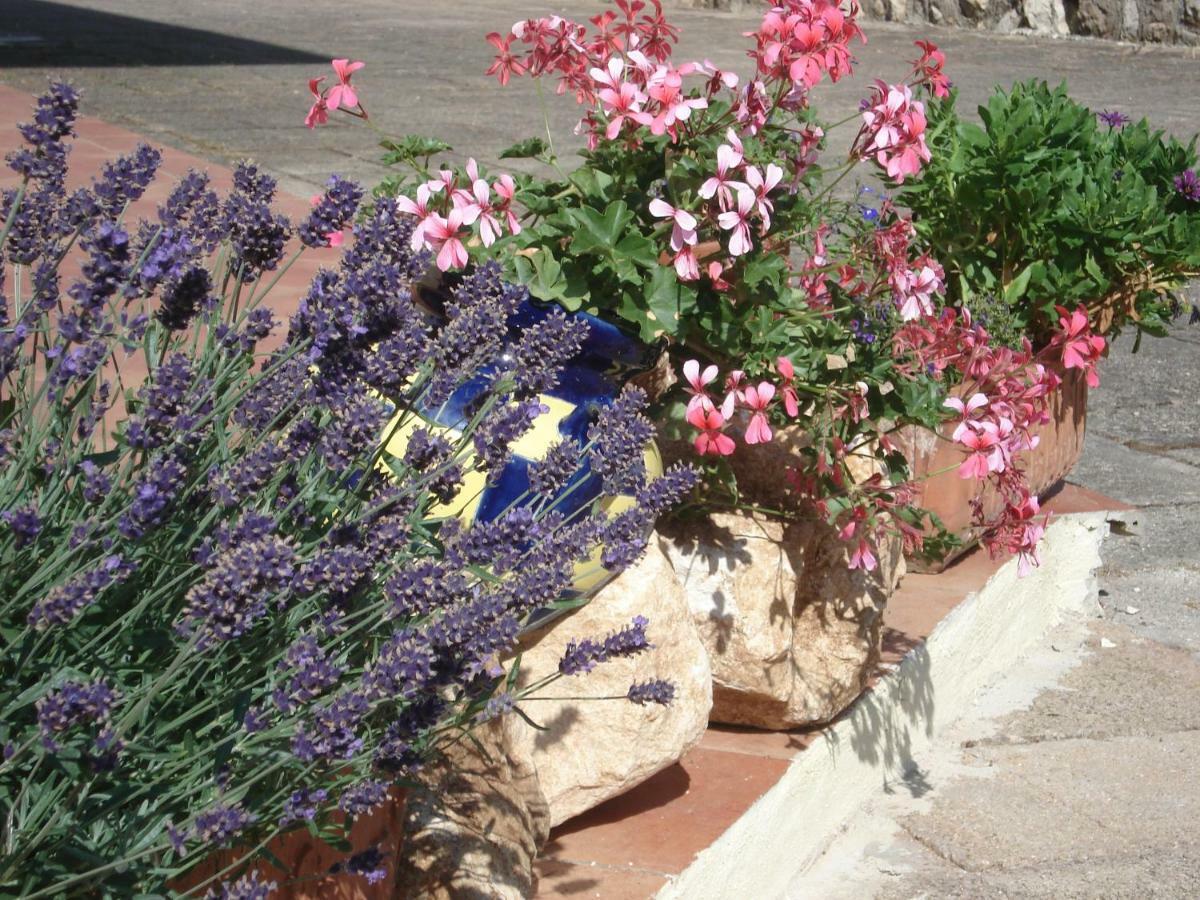 Globetrotter Bed and Breakfast Formia Exteriör bild