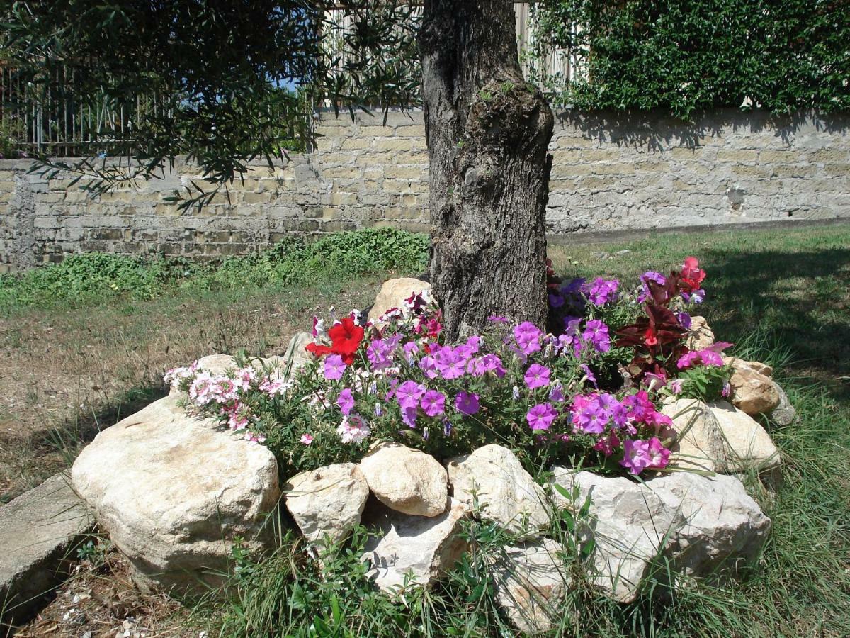 Globetrotter Bed and Breakfast Formia Exteriör bild